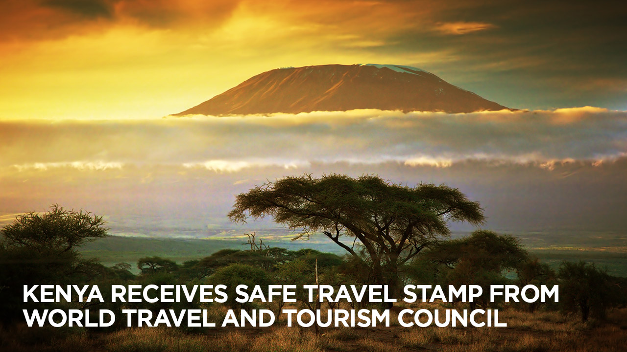 travel stamp from world travel and tourism counsel