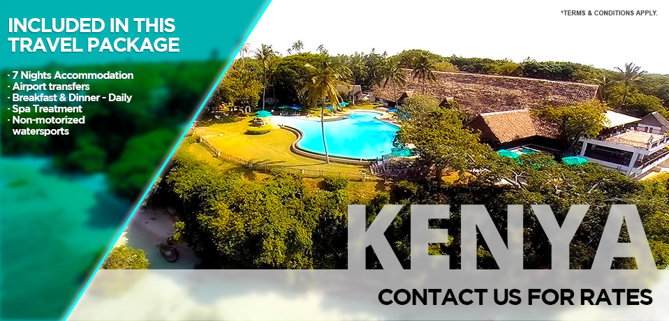 Contact the tourism and travel expert - Tour and Travel Agency